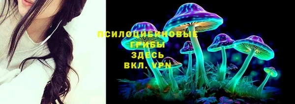 марки nbome Бородино