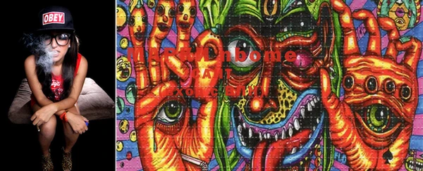 PSILOCYBIN Бронницы