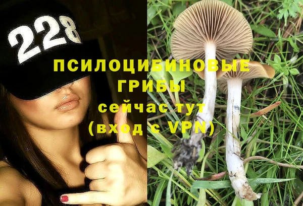 альфа пвп Бугульма