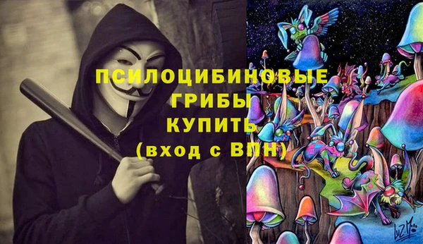 PSILOCYBIN Бронницы