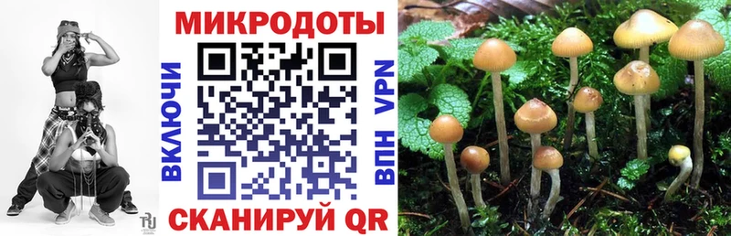 Псилоцибиновые грибы GOLDEN TEACHER  Сосногорск 
